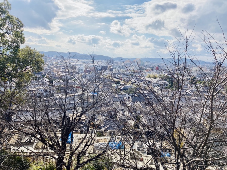 阿智神社からの眺め